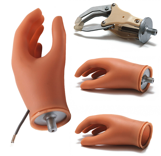 Proted | Protez Eller