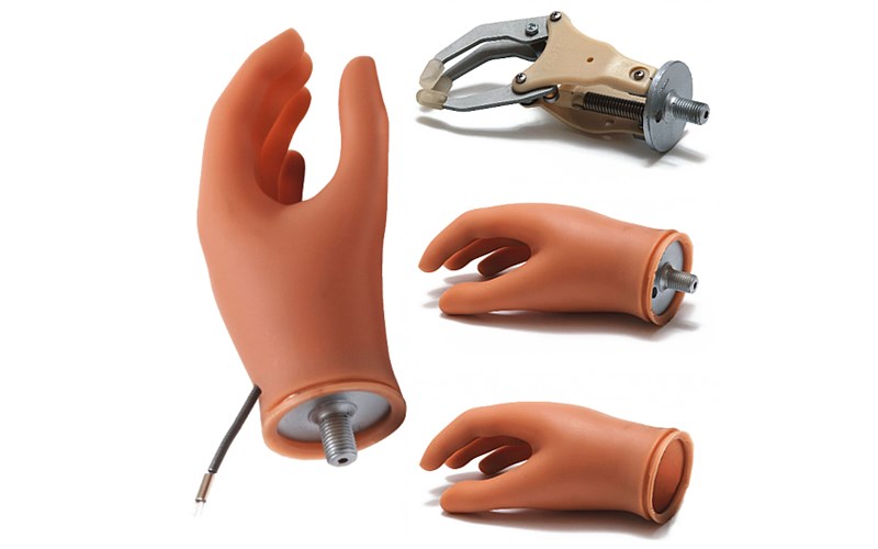 Proted | Protez Eller