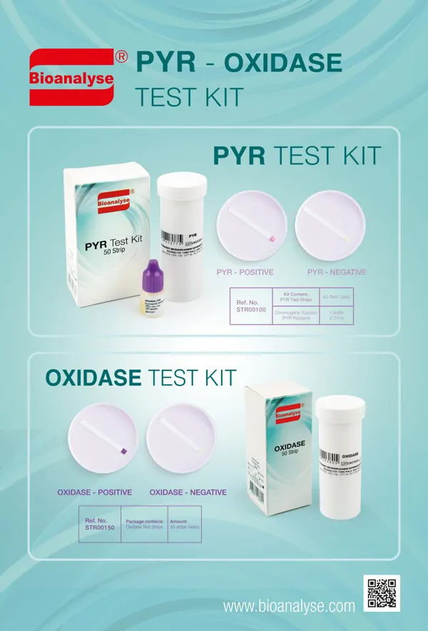 Oxidase Test Strip