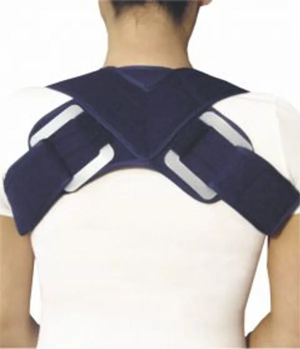 1330 Clavicare