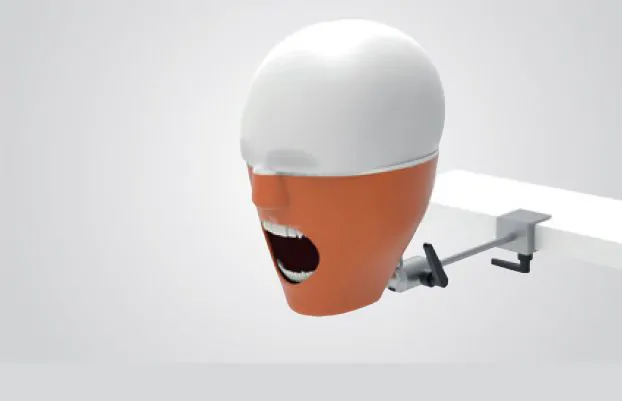 Prodent Training Models